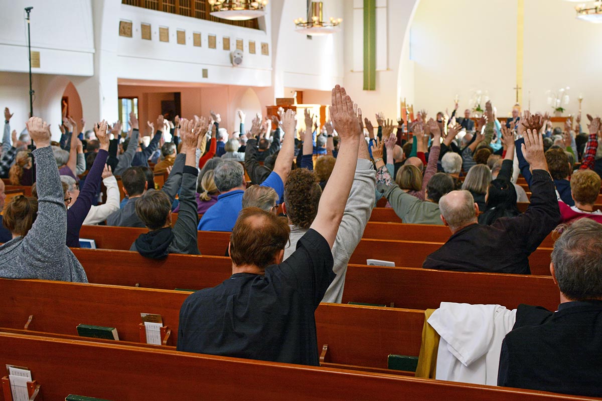 Canon 2 and 3 Revisions Motion Carried at Special Synod Synods